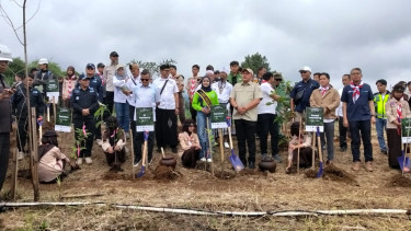 Kegiatan penanaman pohon oleh KLHK di Puncak