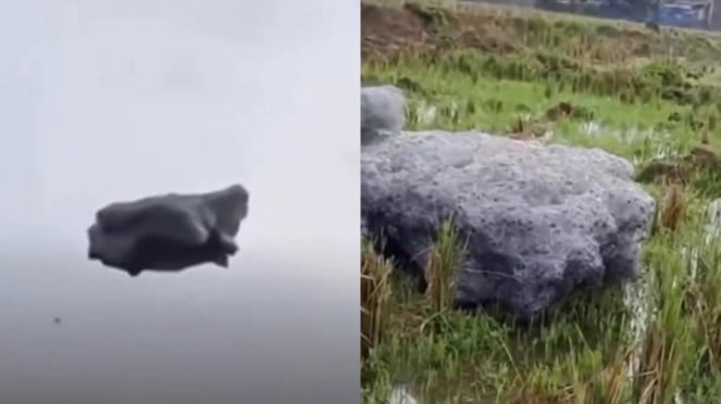  Ada Gumpalan Hitam Misterius Terbang di Langit