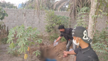 Lokasi ditemukan mayat terkubur dibungkus kain terpal di area kebun, Siak, Riau