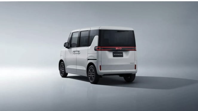 BYD Racoo