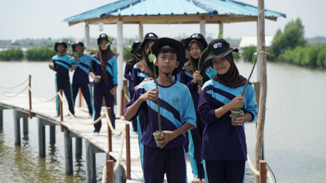 BRI Peduli ajak siswa menanam mangrove di Muara Gembong, Kab. Bekasi, Jawa Barat