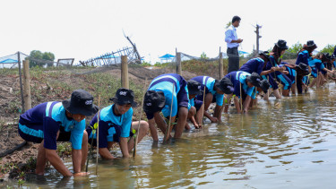 BRI Peduli ajak siswa menanam mangrove di Muara Gembong, Kab. Bekasi, Jawa Barat