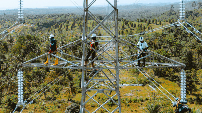 Petugas PLN.