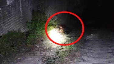 Pria di Pamekasan ditemukan tewas terbakar