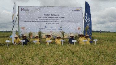 Bank Mandiri perkuat ketahanan pangan nasional.
