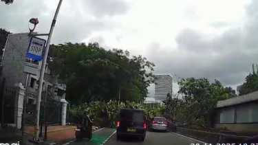 Pohon tumbang di Bundaran Senayan