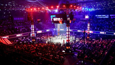pertarungan combat sport