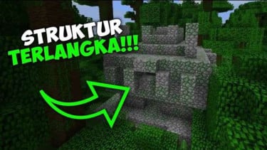 Pemain Minecraft Temukan Struktur Langka yang Hampir Mustahil Muncul