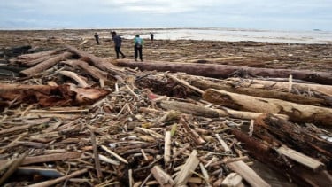 Tumpukan sampah kayu gelondongan di pantai Air Tawar Padang pascabanjir