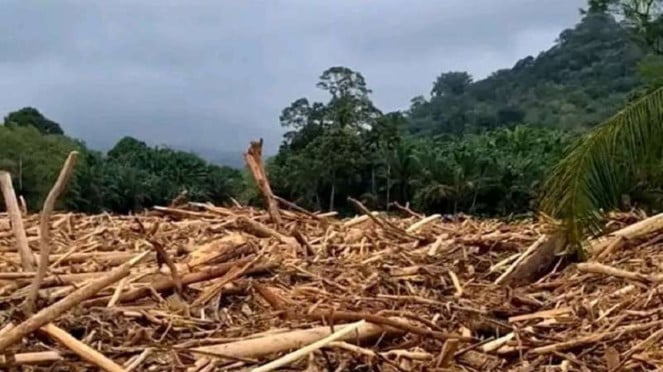 Sampah kayu gelondongan pascabanjir di Tapanuli Tengah, Sumut