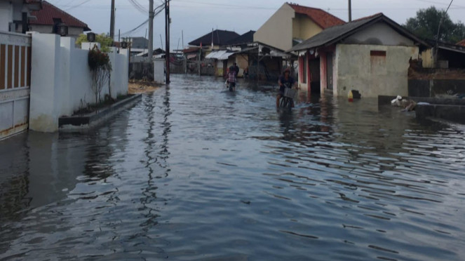 Tiga desa di Kecamatan Losari, Kabupaten Brebes, terendam banjir rob