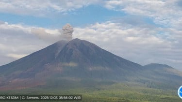 Gunung Semeru erupsi dengan tinggi letusan mencapai 1.100 meter di atas puncak