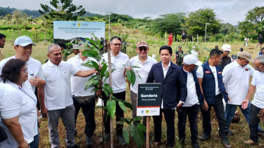 Ribuan pohon endemik ditanam di kawasan Bogor