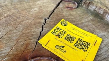 Kayu gelondongan bertanda Kemenhut terdampar di Lampung