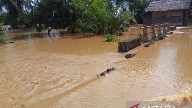 Banjir merendam salah satu desa di Kecamatan Woyla Barat, Kabupaten Aceh Barat