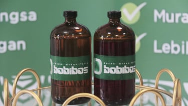 Bobibos