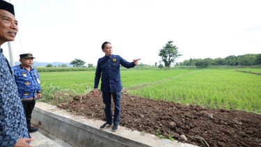 Wakil Ketua MPR RI, Edhie Baskoro Yudhoyono (Ibas)