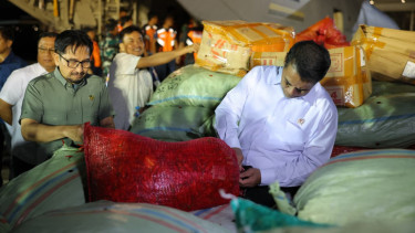 Mentan Amran Beli 40 Ton Cabai Bantu Petani Aceh