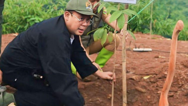 Wakil Ketua DPR RI Cucun Ahmad Syamsurijal menyerukan Gerakan Nusantara Menanam 