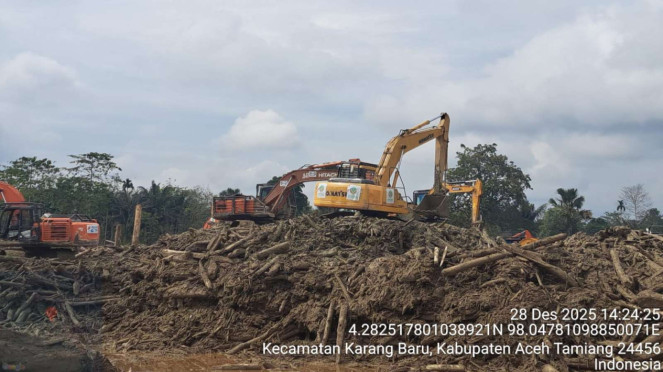 Kemenhut Kebut Pembersihan Kayu Imbas Bencana Sumatera