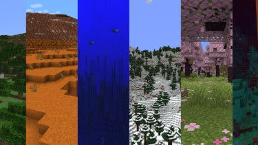 Biome di Minecraft