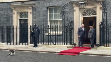 Presiden Prabowo dan PM Inggris Keir Starmer disabut Larry The Cat 