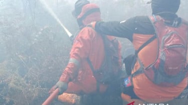 Petugas BPBD berupaya memadamkan api di lokasi kebakaran lahan Aceh Barat
