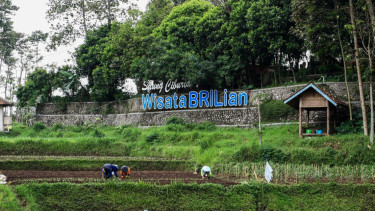 BRILian.