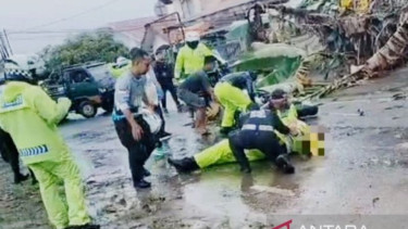 Lokasi anggota Polda Kalsel tertimpa pohon tumbang