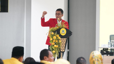 Ketua Umum Depinas SOKSI, Misbakhun