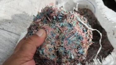 Heboh cacahan uang Rp100 ribu dan Rp50 ribu di TPS Cikarang