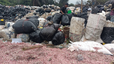 Heboh cacahan uang Rp100 ribu dan Rp50 ribu di TPS Cikarang