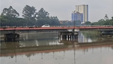 Sungai Cisadane di Tangsel tercemar bahan kimia