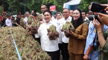 Ketua Komisi IV DPR Titiek Soeharto saat meninjau sentra industri bawang Brebes