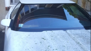 Jamur di bodi mobil
