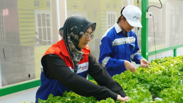 Pertamina Patra Niaga.