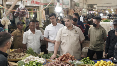 Anggota Komisi IV DPR RI Rajiv
