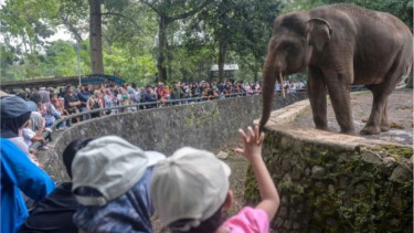 Pengunjung Ragunan