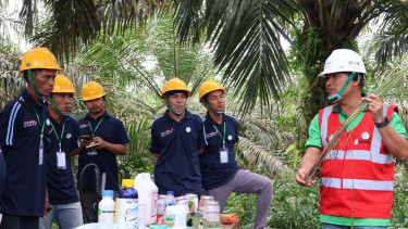 PT Triputra Agro Persada Tbk