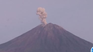 Gunung Semeru erupsi dengan tinggi letusan mencapai 1.000 meter di atas puncak