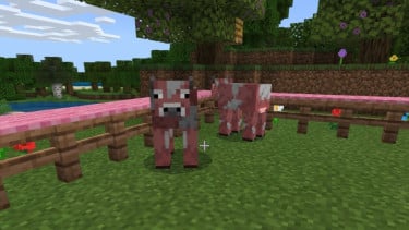 Mob Minecraft Java Edition