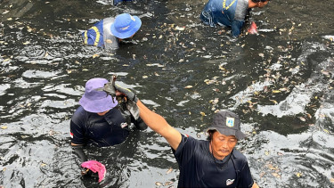 Operasi tangkap ikan sapu-sapu di wilayah Jakarta Utara