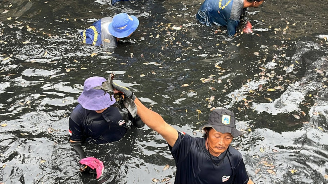 Operasi tangkap ikan sapu-sapu di wilayah Jakarta Utara