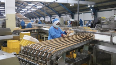Proses Produksi Biskuit di PT Mega Global Food Industry (Kokola Grup)