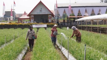 Rumah Bawang.