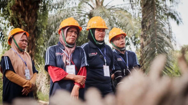 Petani Sawit Perempuan