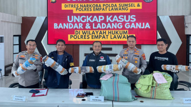 Polda Sumsel Bongkar Ladang Ganja