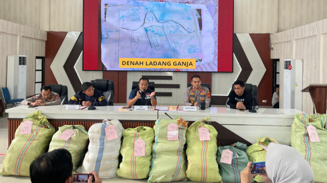 Polda Sumsel Bongkar Ladang Ganja