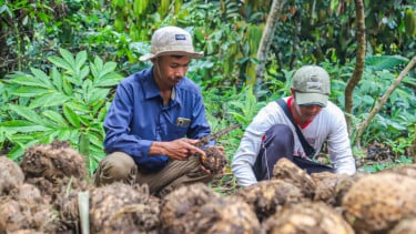 Desa Sejahtera Astra.