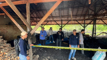 Dapur arang ilegal di Riau